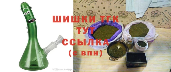 дживик Краснослободск