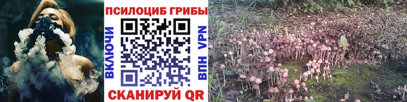 Галлюциногенные грибы мухоморы  Купить где  Дальнегорск 