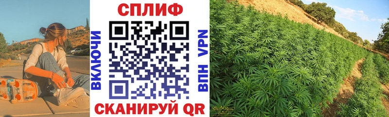 Купить где  Дальнегорск  Канабис гибрид 